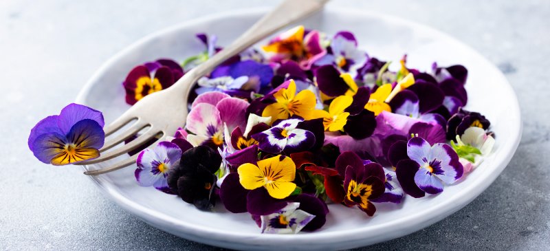 Fleurs comestibles - Dr. Axe