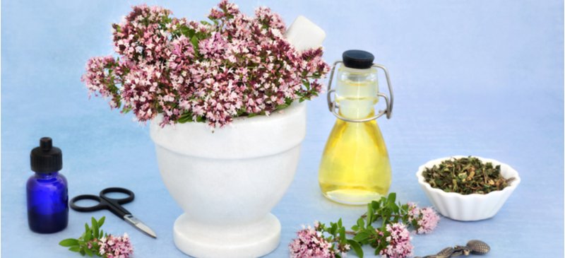 Herbes anti-inflammatoires - Dr. Axe