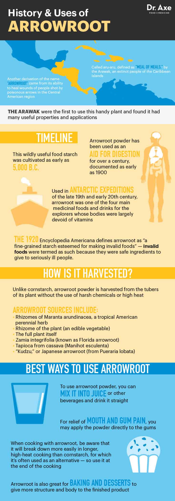 Bienfaits de l'arrowroot - Dr.Axe