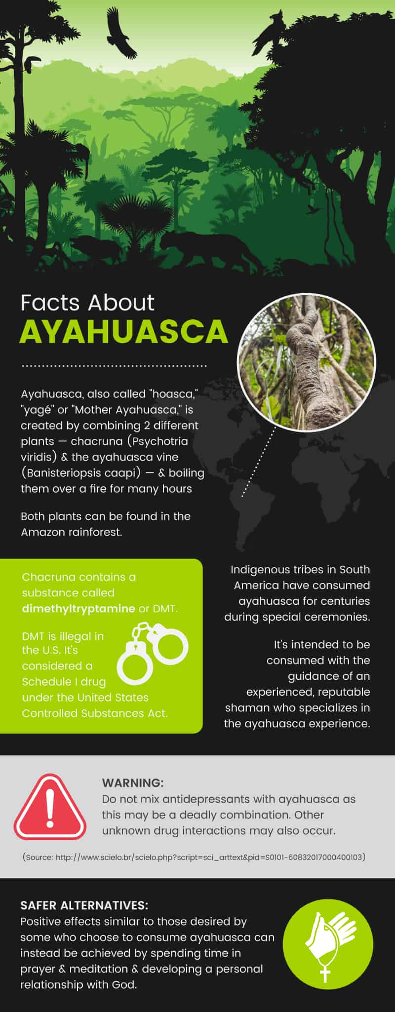 Les faits sur l'ayahuasca - Dr. Axe
