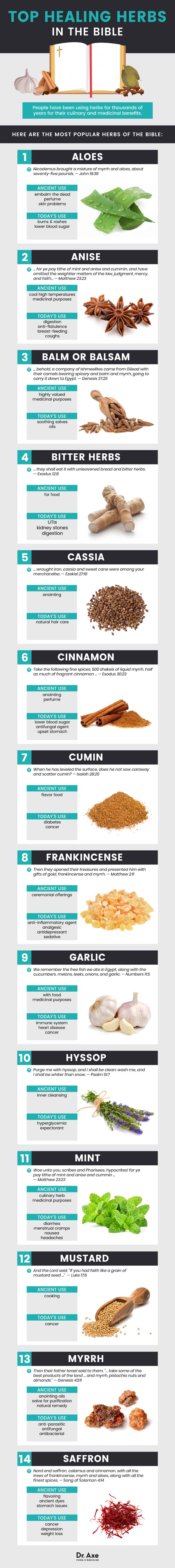 Guide des herbes de la bible - Dr. Axe