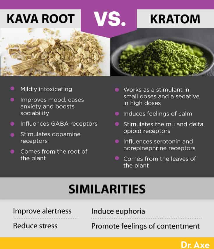 Racine de kava vs. kratom - Dr. Axe
