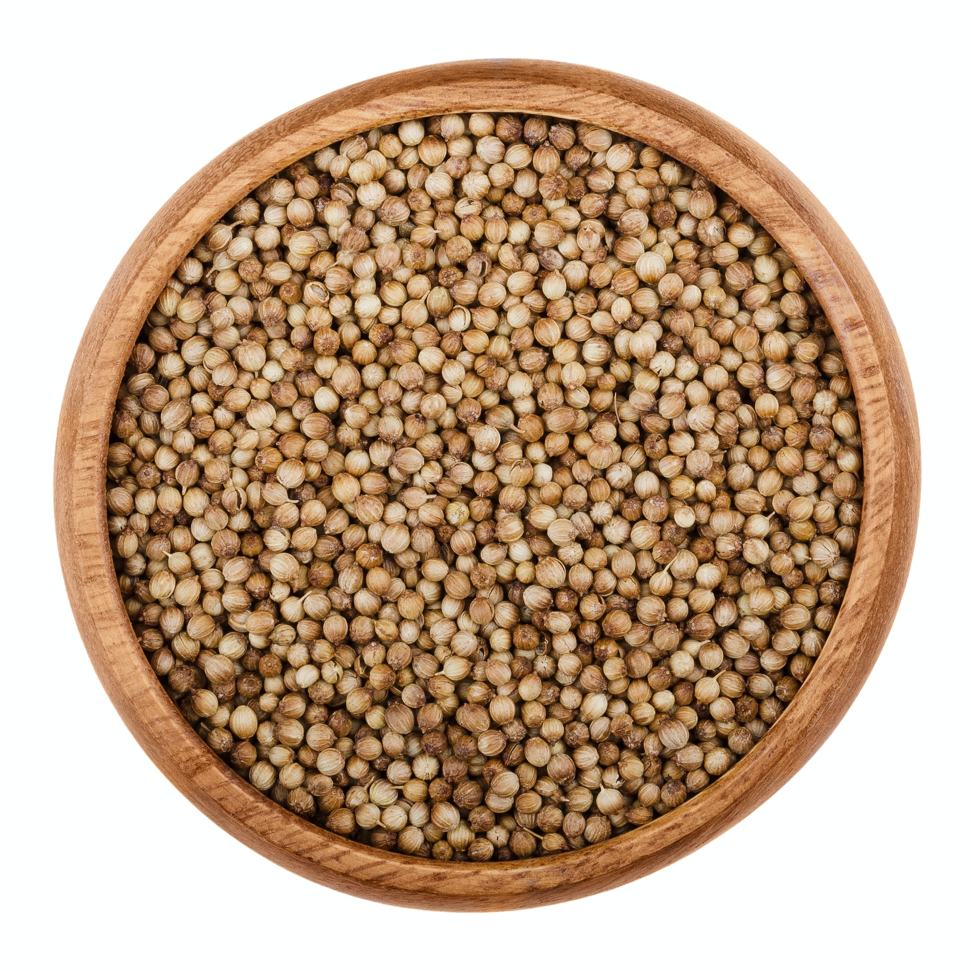 Dried coriander seeds in a bowl over white