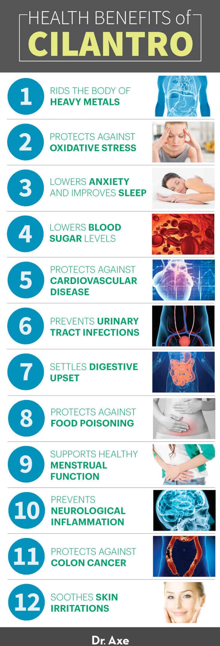 Bienfaits de la coriandre