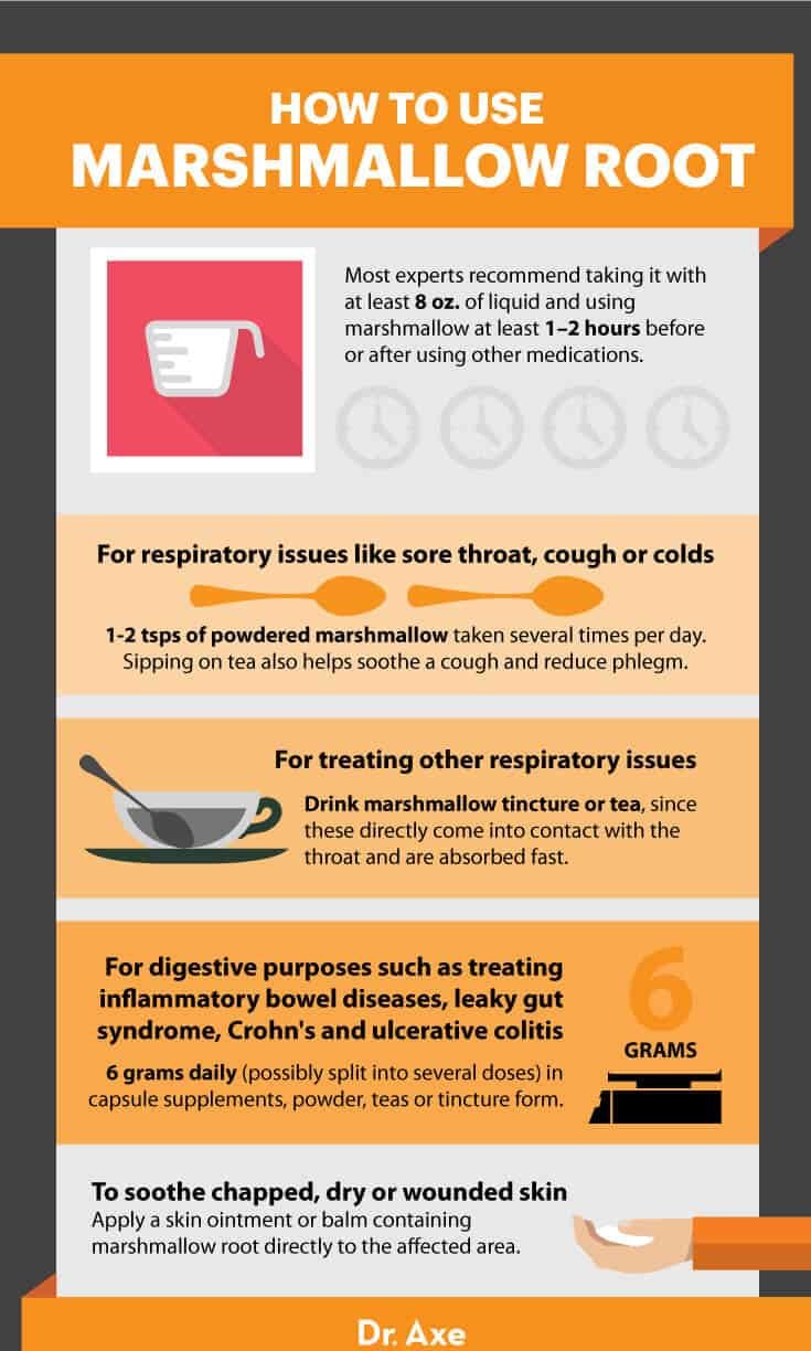 Utilisation de la racine de guimauve - Dr. Axe