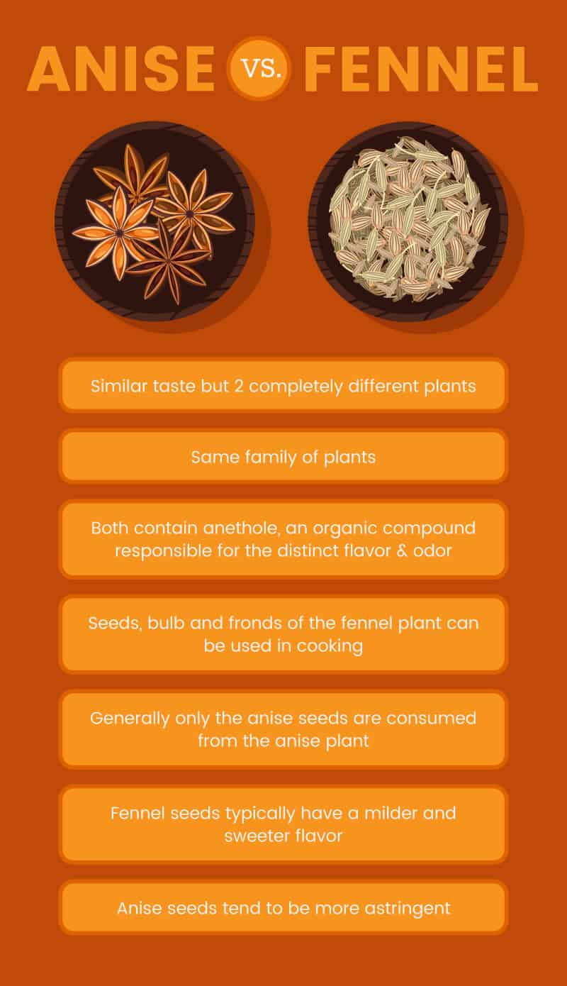 Anis contre fenouil - Dr. Axe