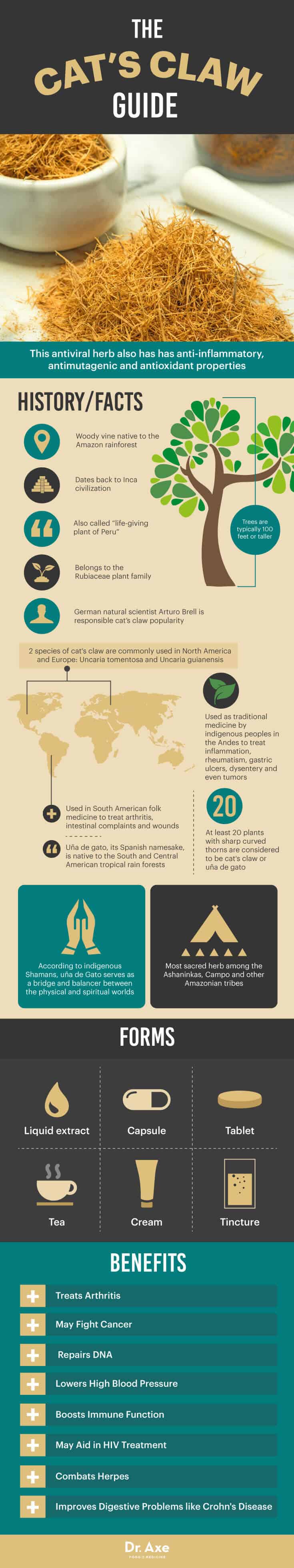 Guide de la griffe de chat - Dr Axe