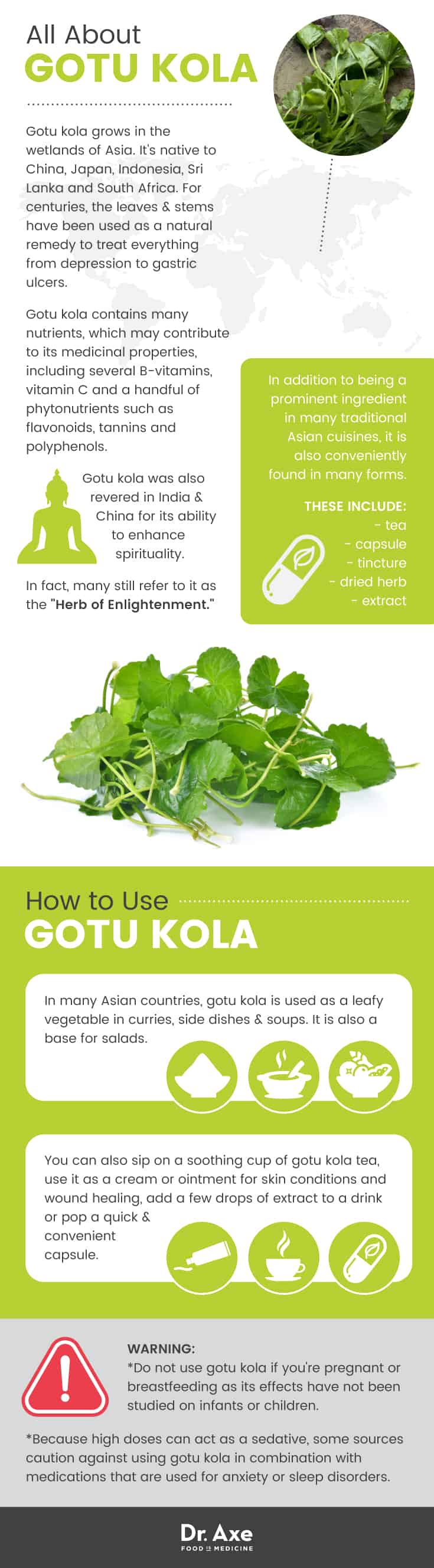 Infographie sur le gotu kola - Dr. Axe