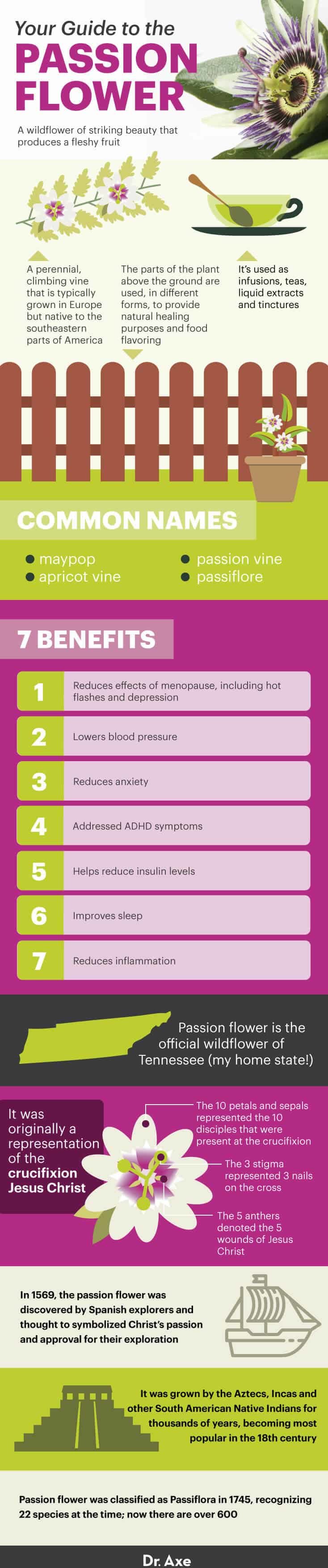 Guide de la passiflore - Dr. Axe