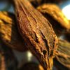 Cardamome noire bio : acheter cardamome noire bio en ligne. Cardamome noire bio en ligne, FairTrade, Origine : Inde.